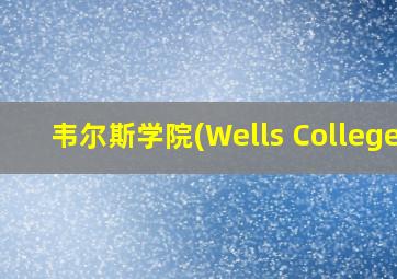 韦尔斯学院(Wells College)